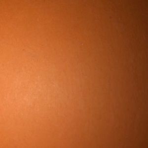 Meet your Posher, Max